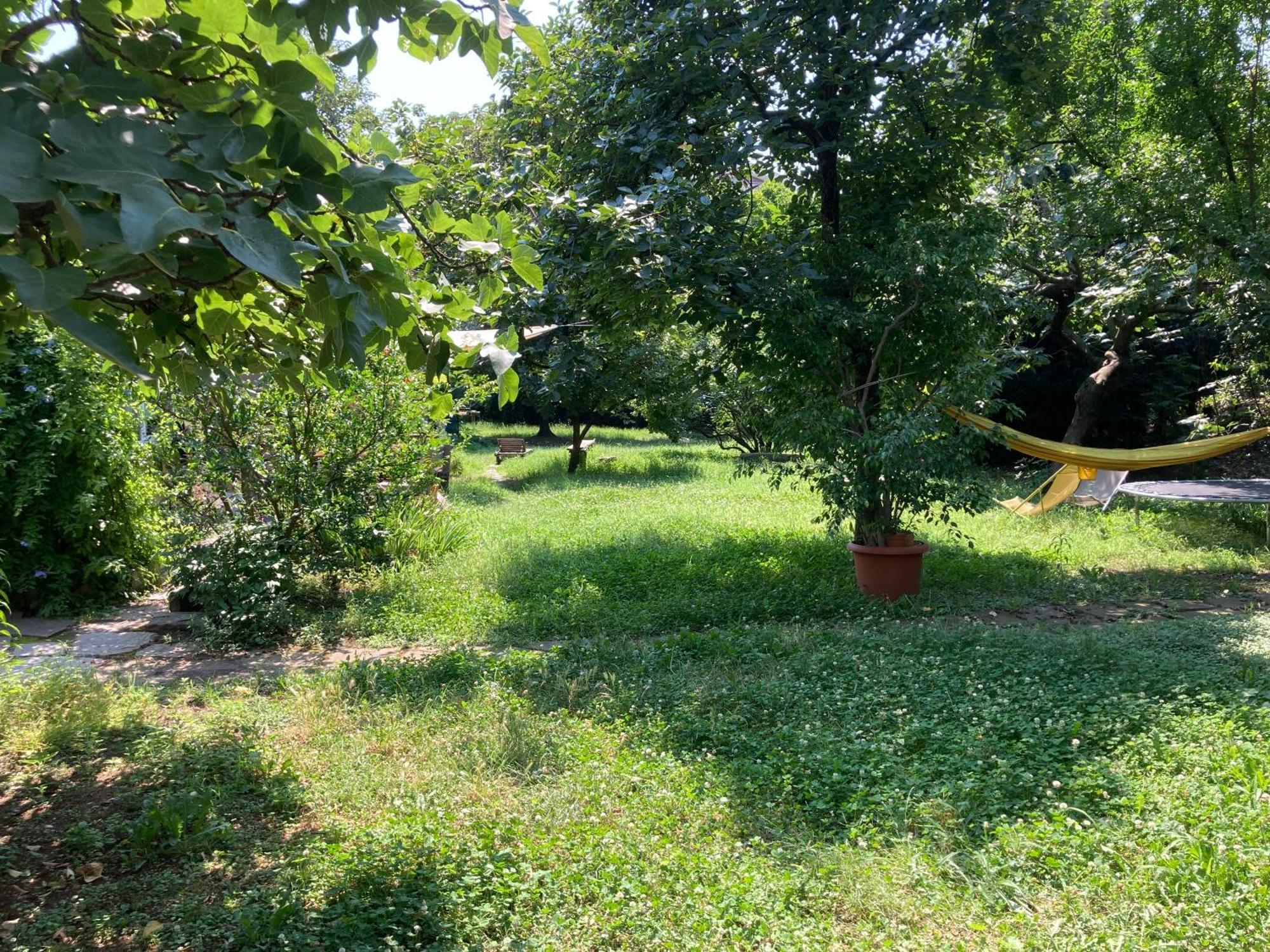 Green Oasis On Water In The Center Of ميلان المظهر الخارجي الصورة