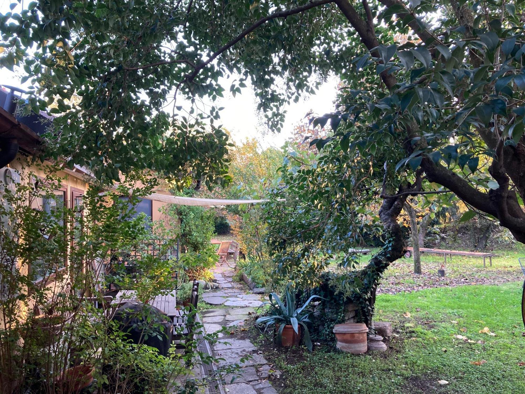 Green Oasis On Water In The Center Of ميلان المظهر الخارجي الصورة